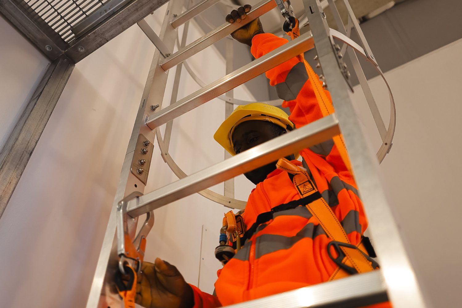 Immagine illustrativa